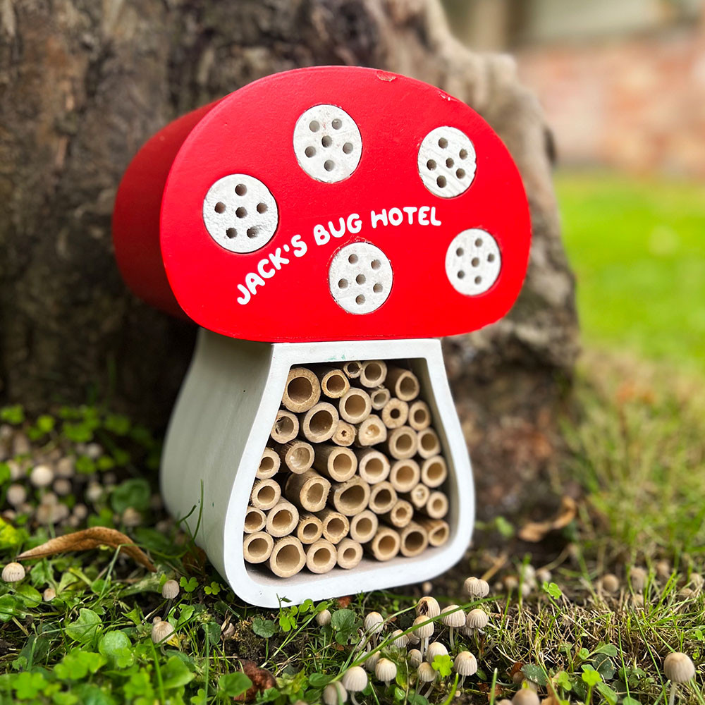 Personalised Toadstool Mushroom Bug House