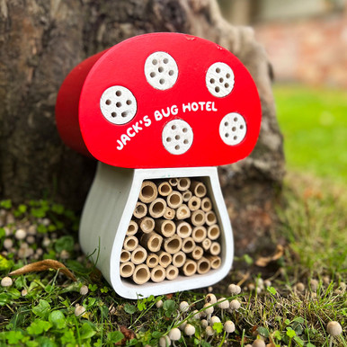 Click to view product details and reviews for Personalised Toadstool Mushroom Bug House.