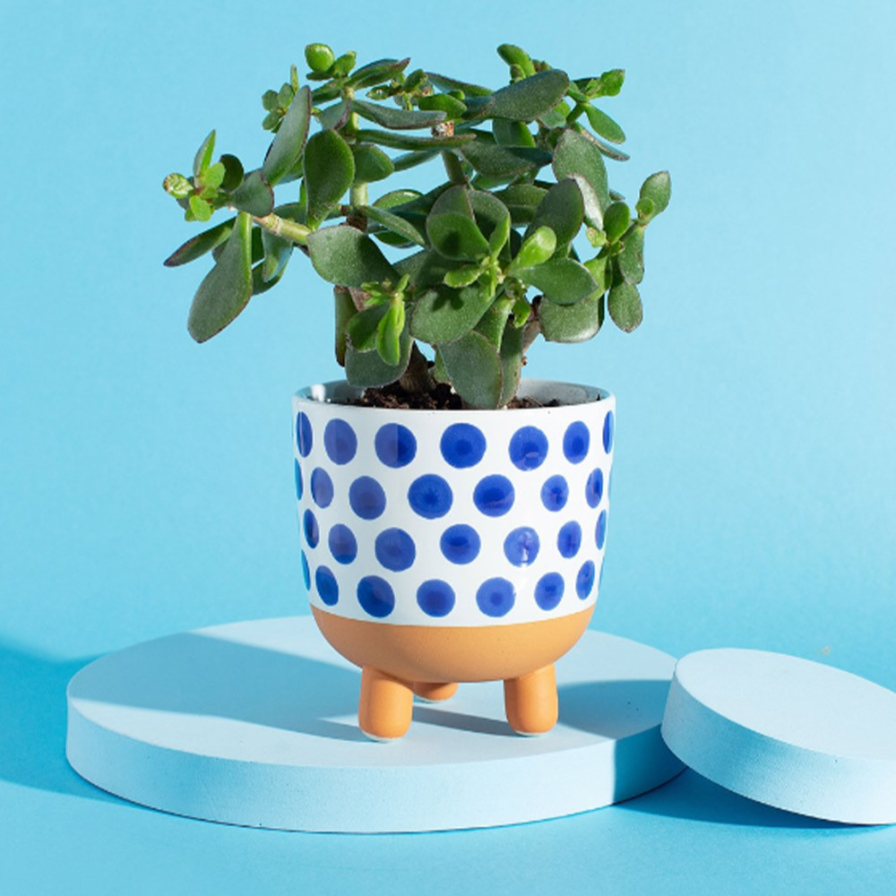 Sass & Belle Naxos Blue Planter