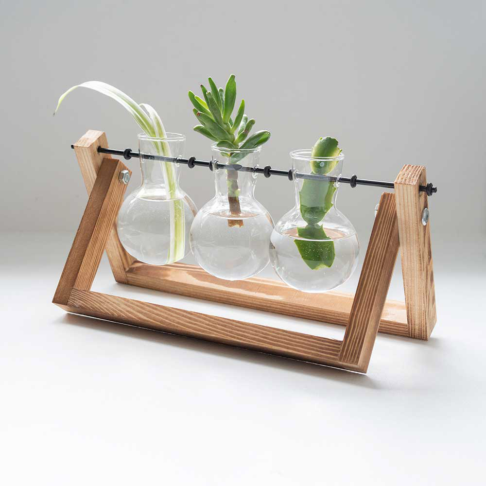 Propagation Vases