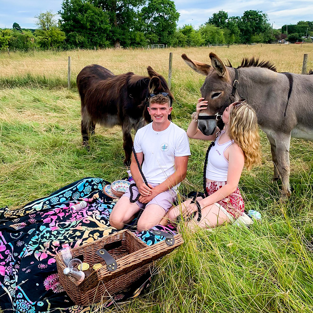 Donkey Picnic for Two at Dashing Donkeys