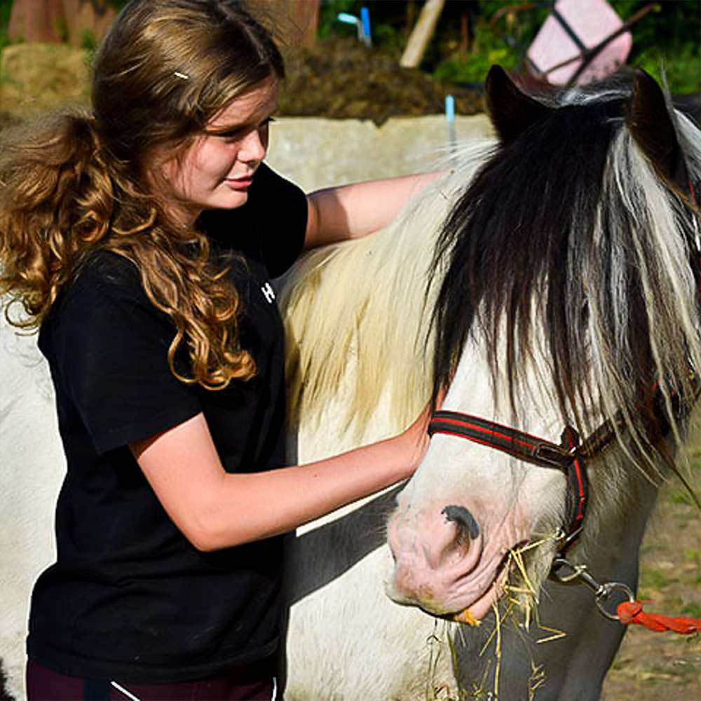 The Ancient Trails Company Pony Care Experience for Two