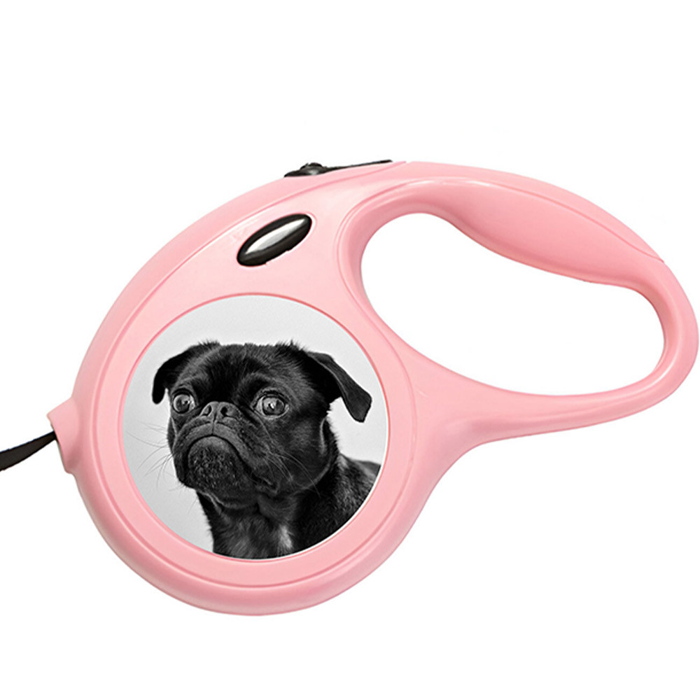 Personalised Photo Dog Lead - Pink