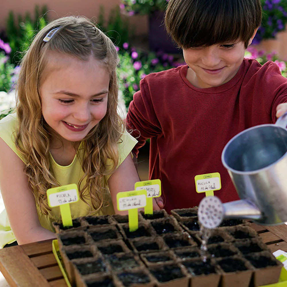 Easy Grow Kits - Winter Vegetables