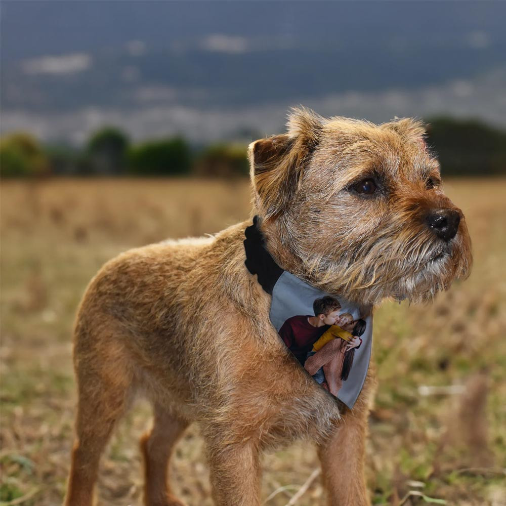 Personalised Photo Create Your Own Pet Bandana Medium