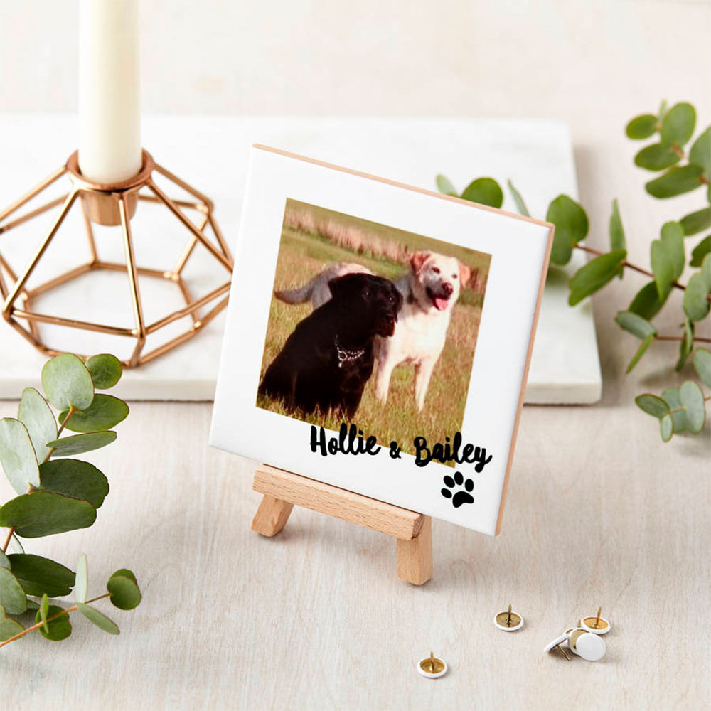 Personalised Ceramic Pet Photo and Mini Easel