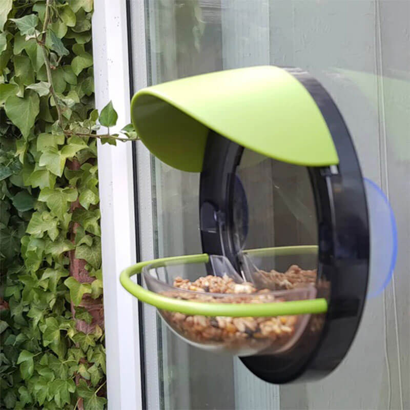 Window Bird Feeder