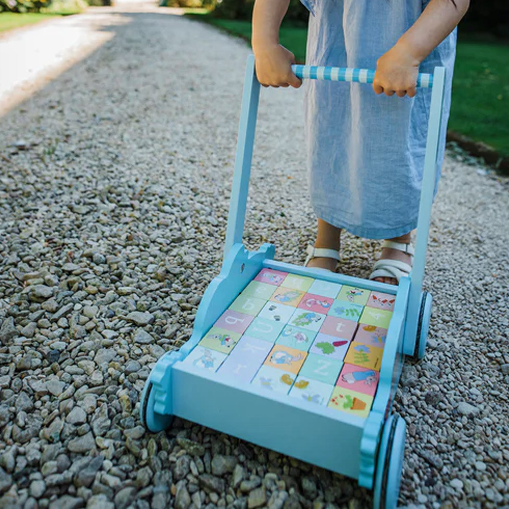 Peter Rabbit Block Trolley