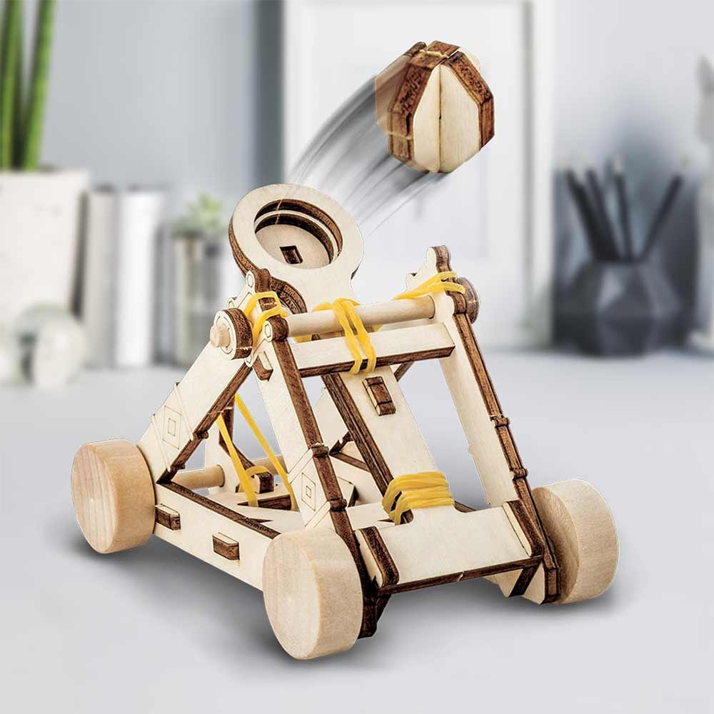 Build Your Own Wooden Catapult