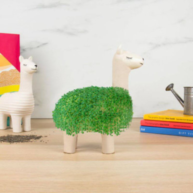 Click to view product details and reviews for Llama Planter.