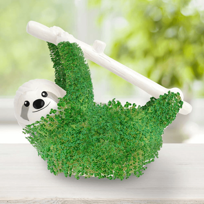 Sloth Planter