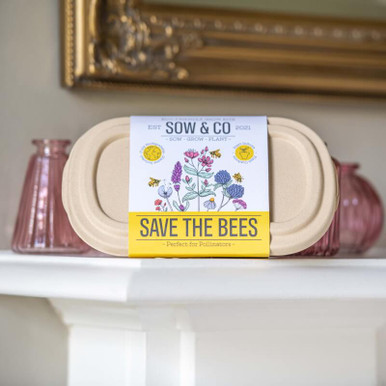 Image of Save The Bees - Sow & Co Eco Grow Kit