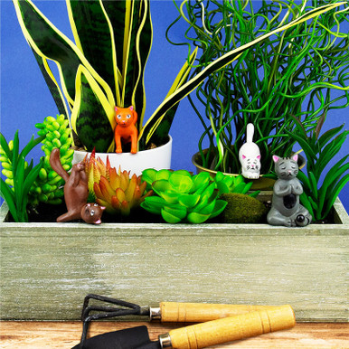 Click to view product details and reviews for Mini Plant Yoga Cats.