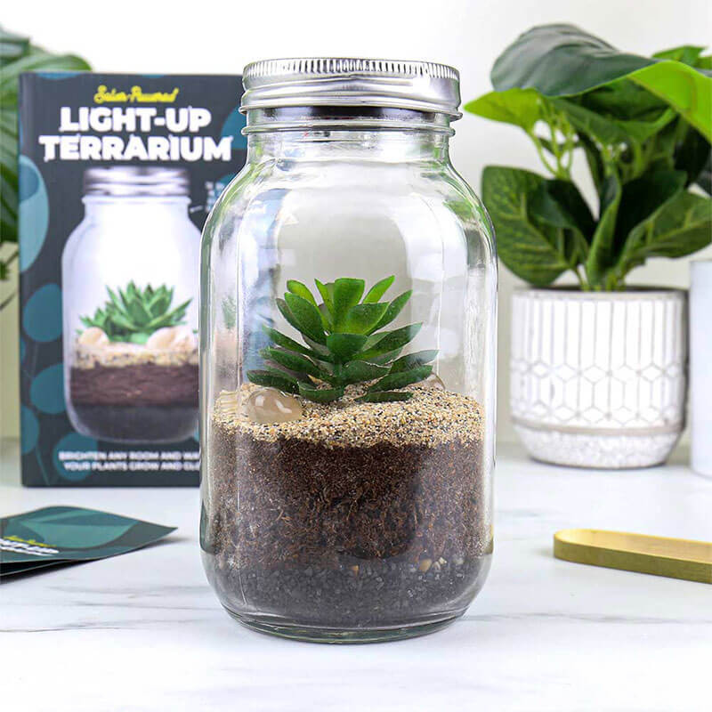 Light Up Terrarium