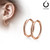 Pair of 316L Stainless Steel Hinge Action Seamless Hoop Earrings/ Rose Gold IP