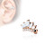 CZ Paved Tiara Top 316L Surgical Steel Ear Cartilage Barbell Studs
