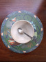 Wipeable Placemat - Finch