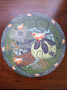 Wipeable Placemat - Finch