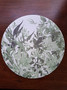 Wipeable Placemat - Botanica