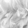 Cushion Insert - Feather Fill