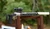 CVA PDW Chassis (Stock/Brace)