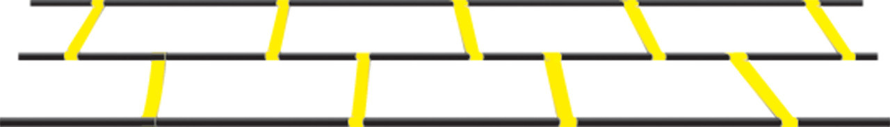 double agility ladder