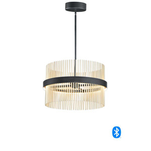 23.75 Inch Pendant – Black / Satin Brass