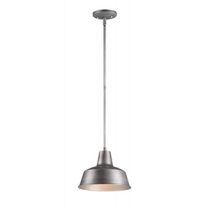 Outdoor 10 Inch Pendant – Weathered Zinc