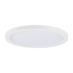 Chip 7 Inch Flush Mount Light – White