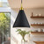 Dorothy 10-in Black With Gold Detail 1 Light Pendant