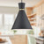 Vanderbilt 10-in Black With Gold Detail 1 Light Pendant