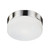 Lomita 12-in Brushed Nickel 2 Lights Flush Mount