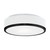 Charlie 12-in Black 2 Lights Flush Mount