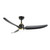 Hugo 52-in Brushed Gold/Matte Black with Light Kit Ceiling Fan