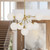Celia 31-in Brushed Gold/Opal Glass 9 Lights Chandeliers