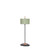 Lagoon Inch Outdoor Light | Contardi Lighting