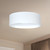 Trenton 5-in White LED Exterior Ceiling