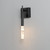 Diaphane 4.75 Inch Wall Sconce – Black – E11030-95BK