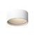 Lucci 5-in White LED Flush Mount