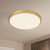 Malta 12-in Brushed Gold LED Flush Mount
