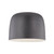 Cayne 12-in Black/White LED Flush Mount