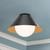 Remy 14-in Matte Black/Opal Glass 1 Light Flush Mount