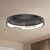 Anello Minor 19-in Black LED Flush Mount