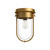 Cyrus 8-in Aged Gold/Clear Glass 1 Light Flush Mount