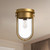 Cyrus 8-in Aged Gold/Clear Glass 1 Light Flush Mount