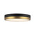 Adelaide 11-in Aged Gold/Matte Black LED Flush Mount