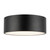 Brisbane 12-in Matte Black 2 Lights Flush Mount