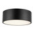 Brisbane 12-in Matte Black 2 Lights Flush Mount