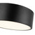 Brisbane 12-in Matte Black 2 Lights Flush Mount
