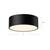 Brisbane 12-in Matte Black 2 Lights Flush Mount